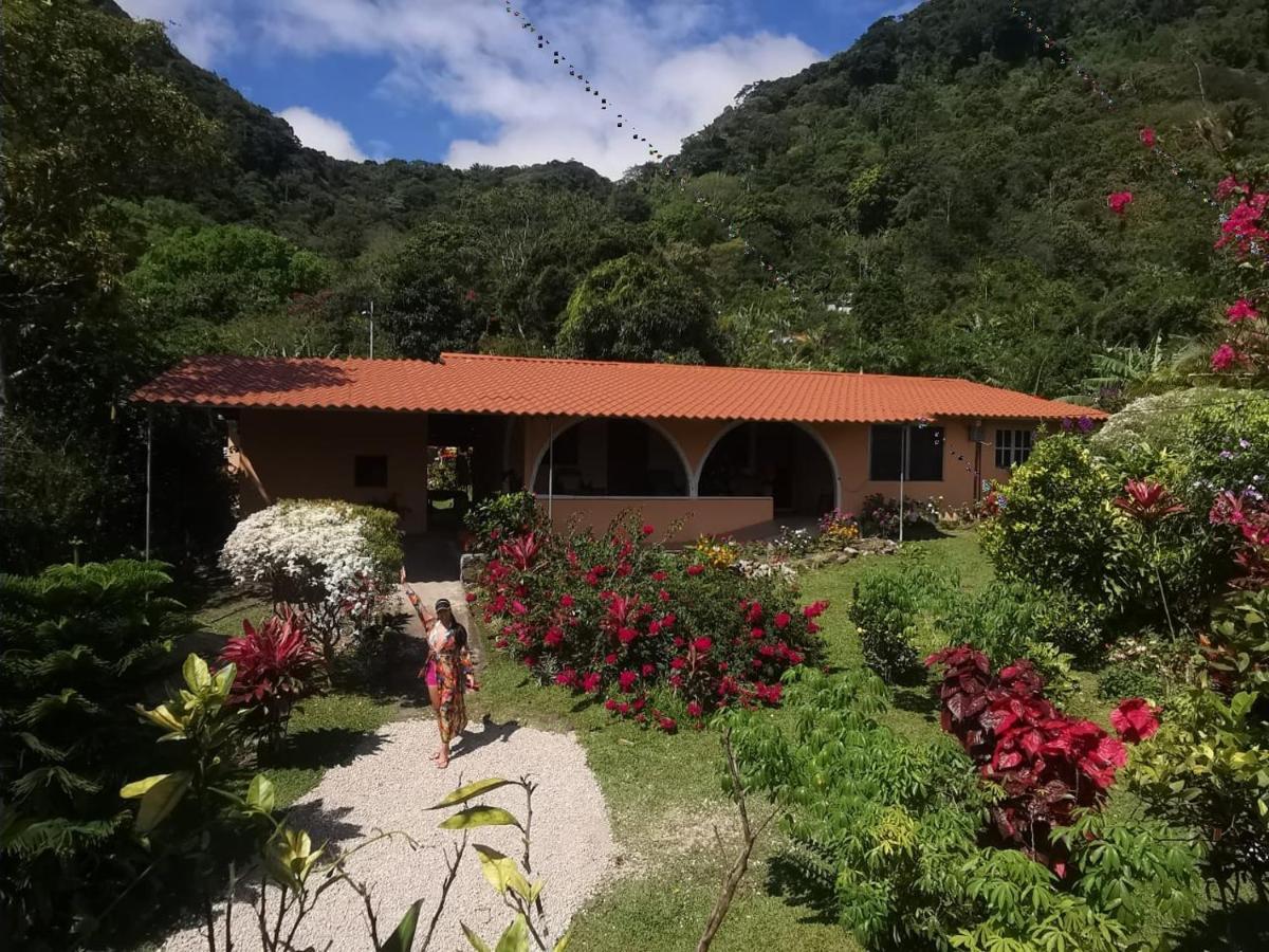 El Zumbito Apartment El Valle de Anton Стая снимка