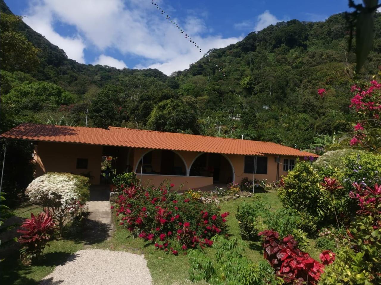 El Zumbito Apartment El Valle de Anton Стая снимка